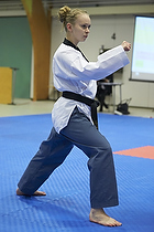 Teakwondo - Esbjerg Plus Cup Teknik