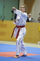 Teakwondo - Esbjerg Plus Cup Teknik