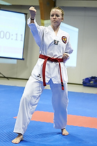 Teakwondo - Esbjerg Plus Cup Teknik