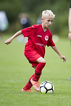 Fredensborg BI - Ballerup-Skovlunde Fodbold