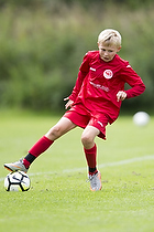 Fredensborg BI - Ballerup-Skovlunde Fodbold