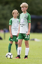 Fredensborg BI - Ballerup-Skovlunde Fodbold
