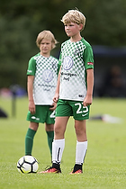 Fredensborg BI - Ballerup-Skovlunde Fodbold