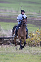 Terrngspringning i Rideklubben Falken