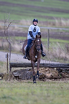 Terrngspringning i Rideklubben Falken