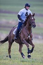 Terr�ngspringning i Rideklubben Falken
