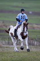 Terr�ngspringning i Rideklubben Falken