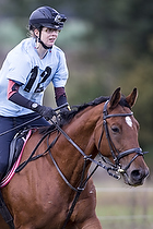 Terr�ngspringning i Rideklubben Falken