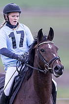 Terr�ngspringning i Rideklubben Falken