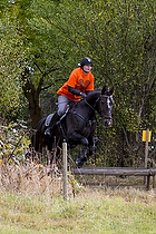 Hest individuel - Max h�jde 50 cm