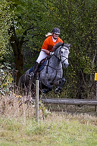 Hest individuel - Max h�jde 50 cm