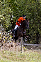 Hest individuel - Max hjde 50 cm