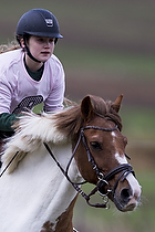 Pony individuel - Max hjde 50 cm