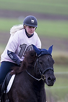 Pony individuel - Max hjde 50 cm