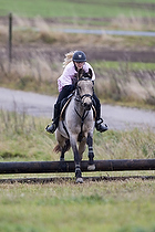 Pony individuel - Max hjde 50 cm