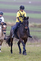 Terrngspringning i Rideklubben Falken