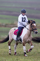 Terr�ngspringning i Rideklubben Falken