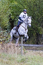 Holdspringning Pony og Hest 50-80 cm