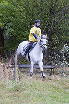Holdspringning Pony og Hest 50-80 cm
