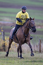 Terr�ngspringning i Rideklubben Falken