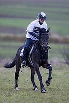 Terr�ngspringning i Rideklubben Falken