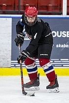 Odense IK - Silkeborg-Aarhus Ishockey