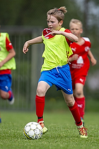 Skanr Falsterbo IF - sters IF