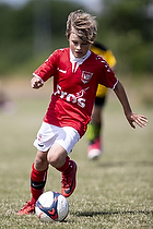 Vejle BK - IF Alliancen