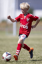 Vejle BK - IF Alliancen