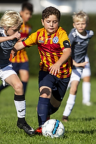 Farum BK - Gentofte Fodbold Akademi