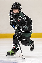 U-10 Cup i Trelleborg