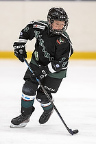 U-10 Cup i Trelleborg