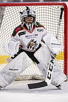 U-10 Cup i Trelleborg