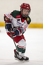 U-10 Cup i Trelleborg