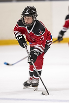 U-10 Cup i Trelleborg