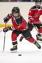 U-10 Cup i Trelleborg