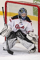 U-10 Cup i Trelleborg