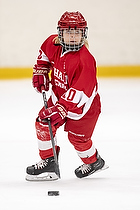 U-10 Cup i Trelleborg