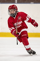 U-10 Cup i Trelleborg