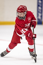 U-10 Cup i Trelleborg