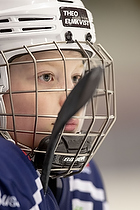 U-10 Cup i Trelleborg