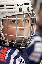 U-10 Cup i Trelleborg