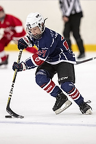 U-10 Cup i Trelleborg