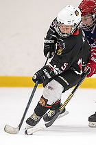 U-10 Cup i Trelleborg