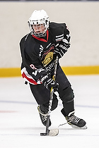 U-10 Cup i Trelleborg