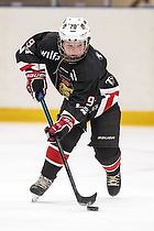U-10 Cup i Trelleborg