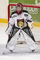 U-10 Cup i Trelleborg