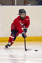 U-10 Cup i Trelleborg