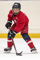 U-10 Cup i Trelleborg