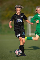 FK Viborg - FC Roskilde